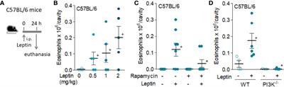 Leptin Elicits In Vivo Eosinophil Migration and Activation: Key Role of Mast Cell-Derived PGD2